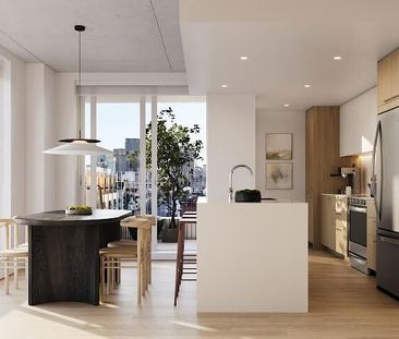 1415 Avenue Papineau, Ville-Marie, QC - Photo 6