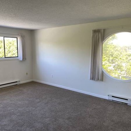 $1,675 · Finlayson Manor - 1 Bedroom - Photo 3