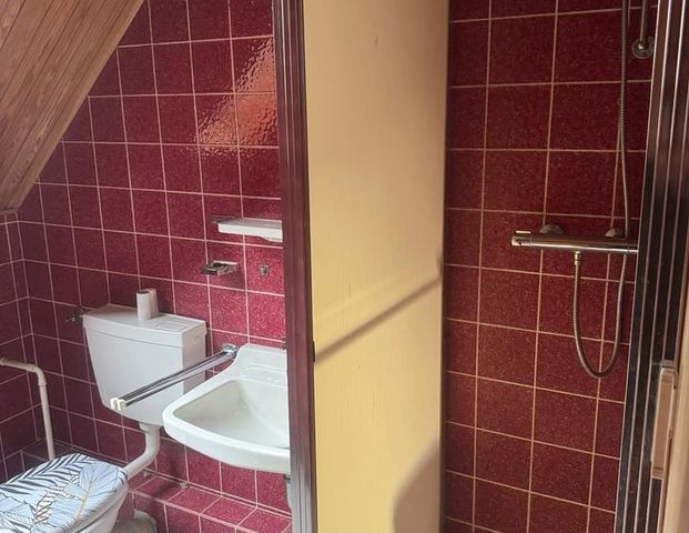 1 Zimmer Singlewohnung Optional + 2 Zimmer im EG - Foto 1