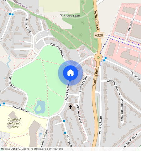 Hazel Avenue, Guildford, GU1