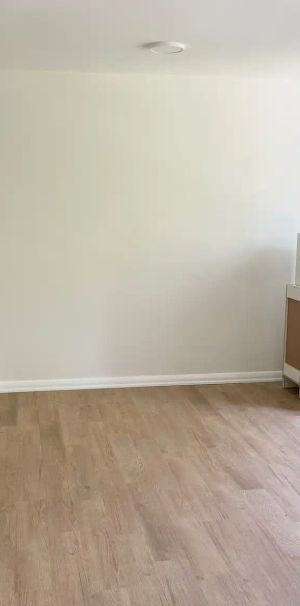 44 Balliol Street — 1-Bedroom - Photo 1