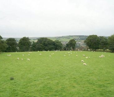 2 bedroom cottage to rent - Photo 3