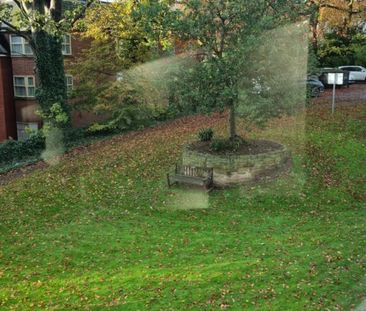 Holly Bank House, 127 Holgate Rd, York, YO24 4DE - Photo 5