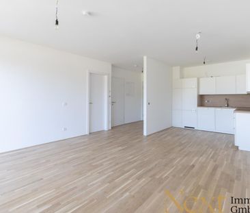 Sonnige 2-Zimmer-Wohnung mit großzügiger Terrasse in Linz nähe Humm... - Photo 5
