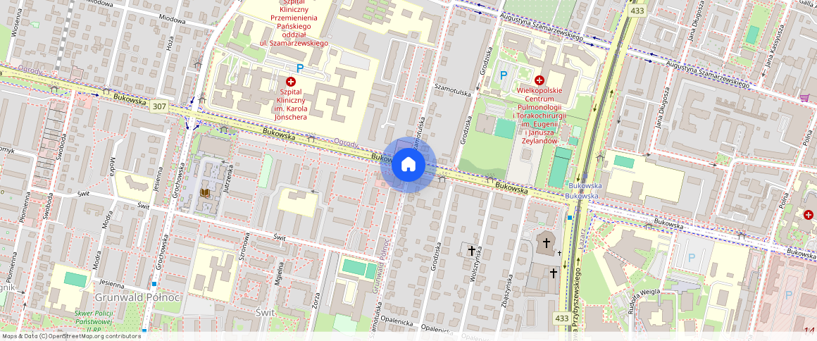 Poznań Grunwald, Szamotulska