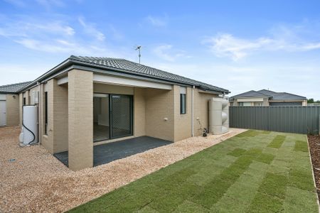 50 Pintail Drive, Melton South VIC - Photo 5