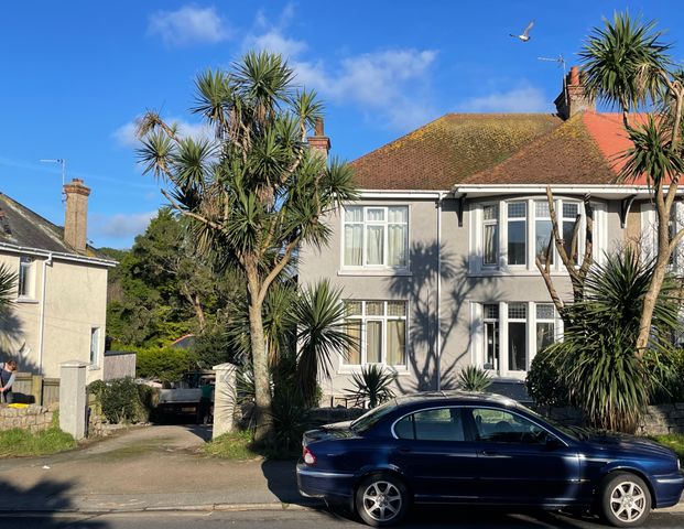 Dracaena Avenue Garden Studio - Photo 1