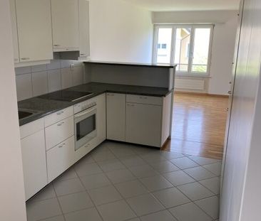 Living between the lake and the city - Photo 2