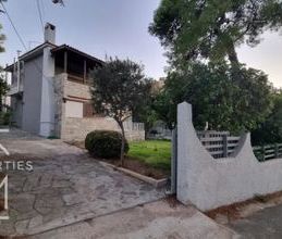 Μονοκατοικία για ενοικίαση - Άνοιξη - Photo 1