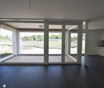 2.5 Zimmer, 62 m², EG - Foto 2