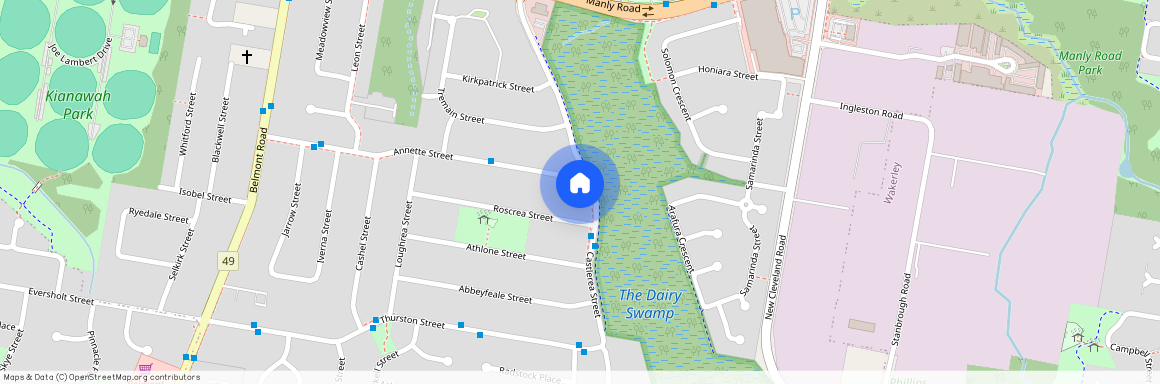 49 Castlerea Street, Tingalpa