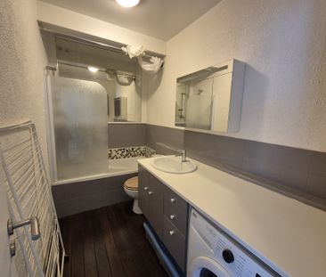 Location Appartement 1 pièce 30m² GAILLARD 74240 - Photo 3