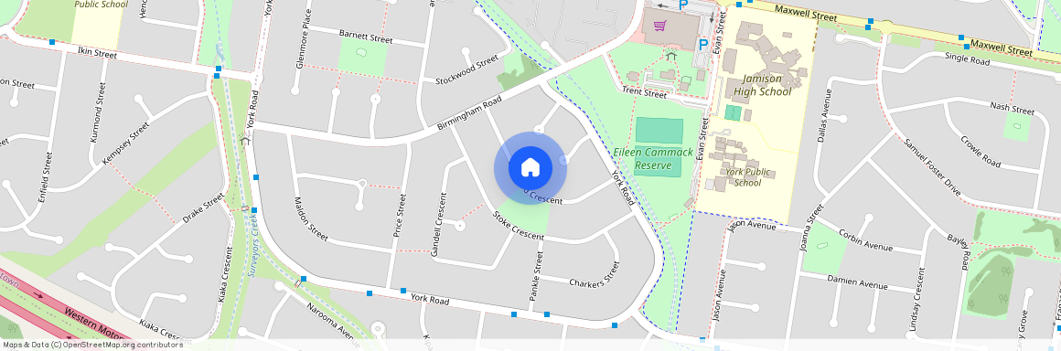 19 Blackford Crescent, NSW 2750, South Penrith