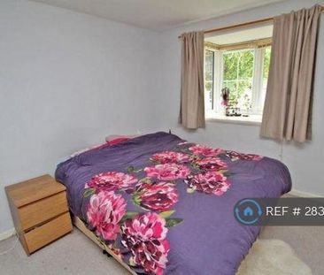 2 bedroom semi-detached house to rent - Photo 2