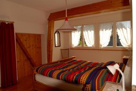 2-ROOM APARTMENT IN HINTERKAPPELEN (BE), FURNISHED - Foto 2