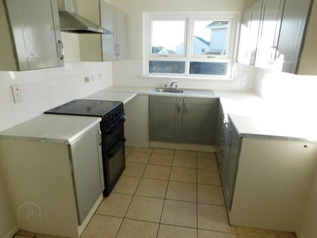 10 Deverney Park, Omagh, BT79 0ES - Photo 5