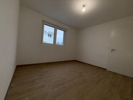 4 MAGNIFIQUES NOUVELLES VILLAS AU BOUVERET TERRASSE ET JARDIN 1 ER LOYER GRATUIT - Photo 5