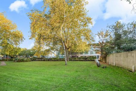 1 bedroom house to rent - Photo 5