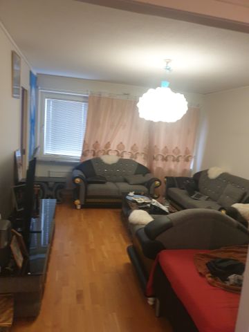 Ekonomstråket, Umeå - Photo 3