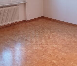 Appartement lumineux de 2 pièces dans un endroit calme sur le Höngg... - Foto 5