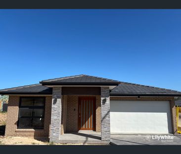 57 Gould Road, Claymore, NSW 2559 - Photo 5