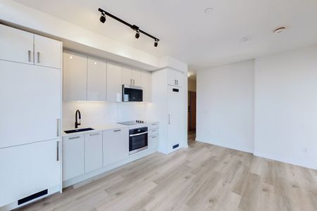 For Lease - 280 Dundas Street Unit# Ph03, Toronto, Ontario - Photo 4