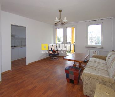 Wynajem, Gumieńce kawalerka z balkonem - Zdjęcie 1