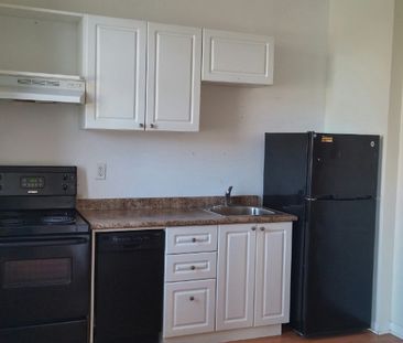 103 - 175 King Edward Avenue - Photo 4