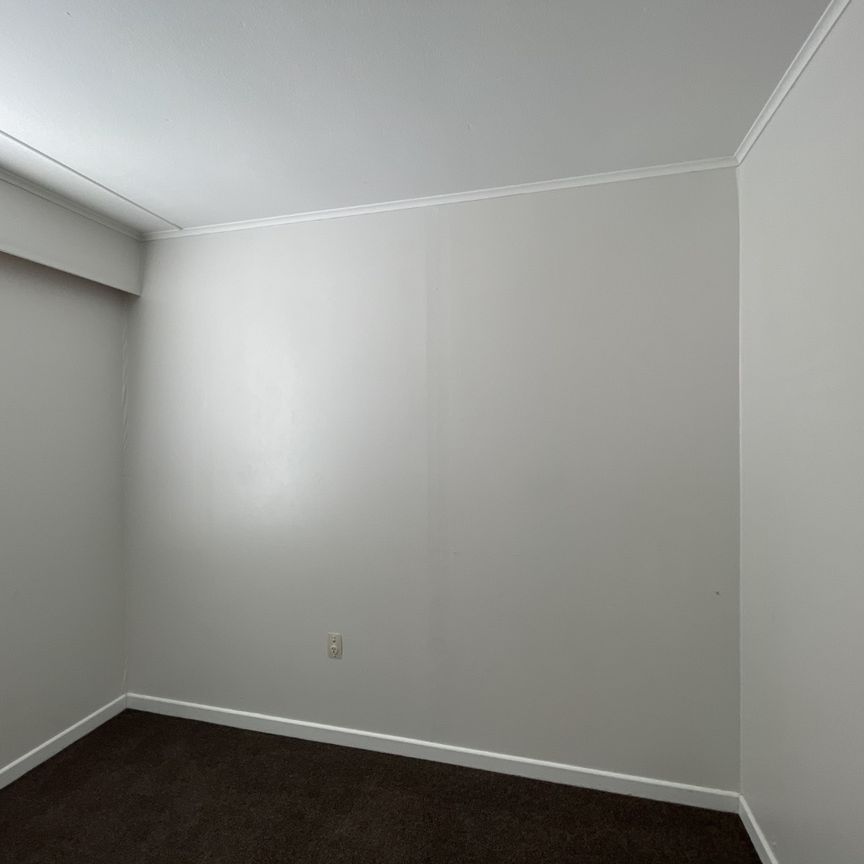 Hokio Beach - 3 Bedrooms - Photo 1