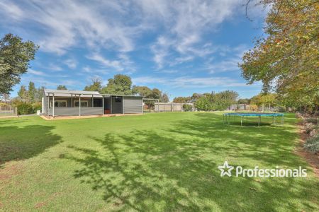 61 Wilga Avenue, Gol Gol NSW 2738 - Photo 2