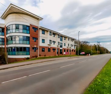 5/6 Bed Standard Ensuite - Photo 1