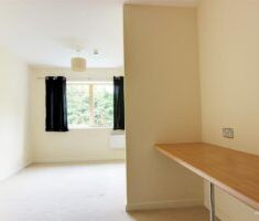 2 BEDROOM Apartment - First Floor - Photo 4