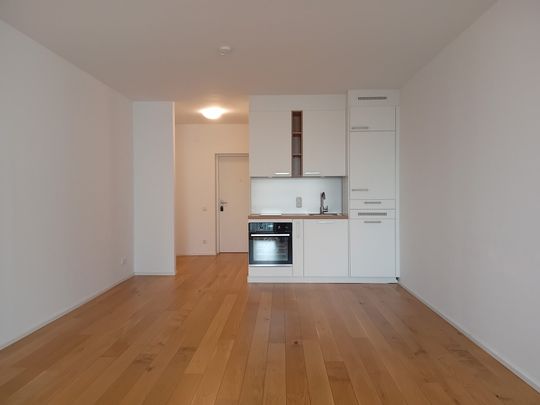 1 Zimmer-Wohnung verfügbar ab 01.08.2026 | 3m² Loggia | Linz-Urfahr - Photo 1