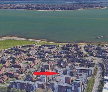 Avenel Way, Poole - Photo 4