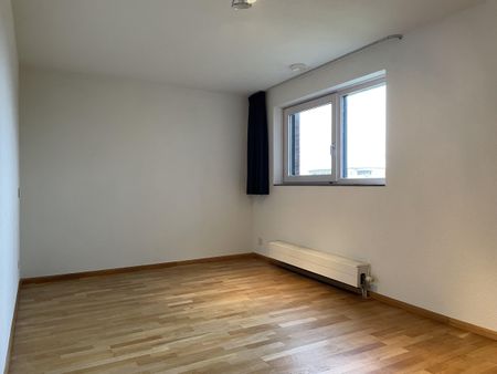 Lobeliuslaan - Photo 5