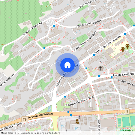 1950, Sion, Avenue du Petit-Chasseur, 86