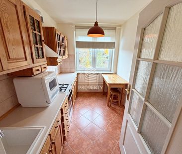 Przytulna kawalerka, teren ogrodzony, cegła,parter - Photo 2