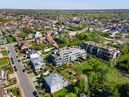 Brouwerijstraat 13, 2320, Hoogstraten - Foto 5