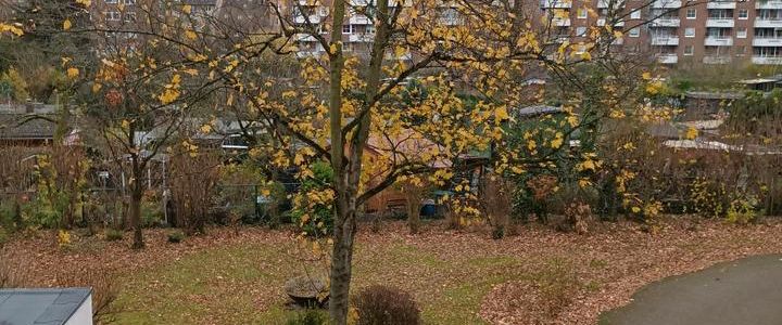 2-Zimmer Wohnung mit Balkon zur Miete in Derendorf, Düsseldorf - Foto 1