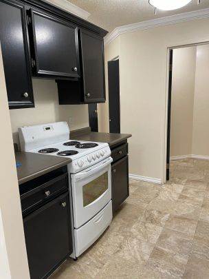 2 BDRM/1.5 BATH - River Trails/Lawson Mall - AVAILABLE FEB 7 - Photo 1