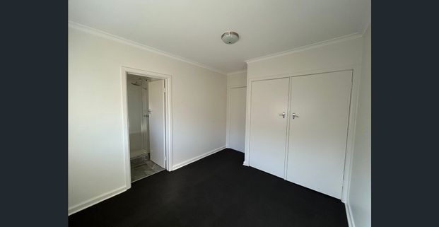 Beautifully Renovated Apartment – Walk to the Beach - Photo 1