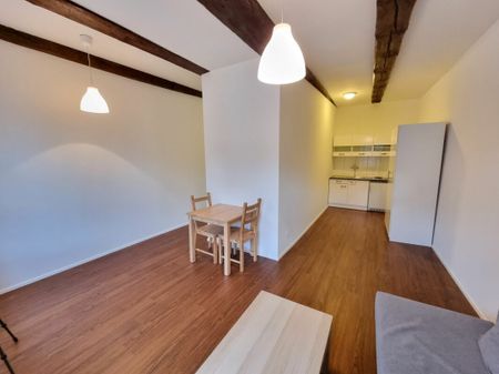 Petit mais agréable, en plein bord de Rhin ! - Photo 5