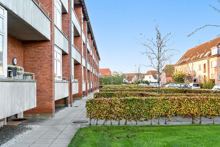 Afd. 11 Drosselhaven - Photo 3