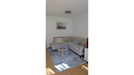 2½ Zimmer-Wohnung in Adliswil (ZH), möbliert, auf Zeit - Photo 2