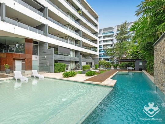 RIVER VIEWS: Generous apartment living in a resort style complex with ground level pool in West End! - Photo 1