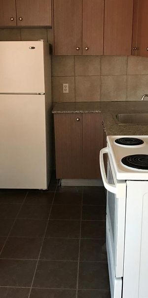 1 CH - 1 SDB - Montréal - $1,300 /mo - Photo 1