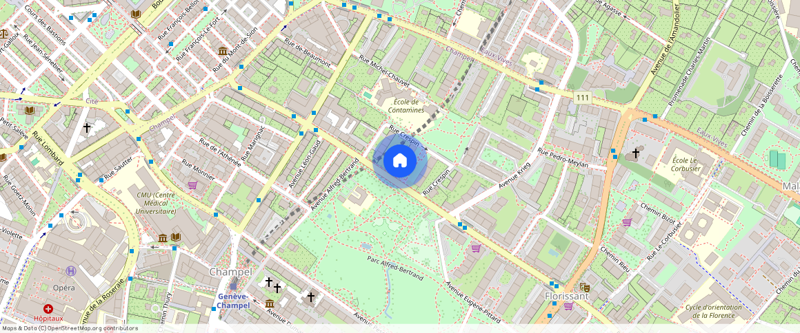 Rue Crespin **, 1206, Genève