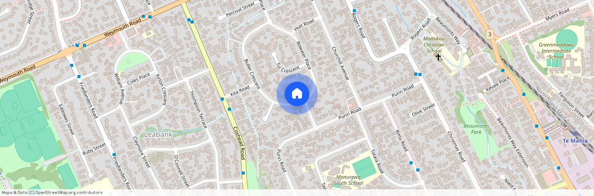 42 Buller Crescent, Manurewa, Auckland