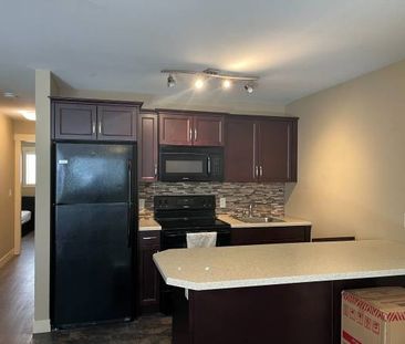 2 Bedroom Suite near UBCO in kelowna - Photo 1