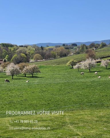 Spacious 6.5-room family house with large garden - Photo 2